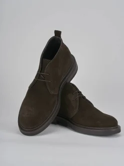 Anfibi camoscio testa