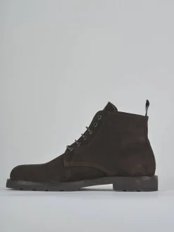 Anfibi camoscio testa