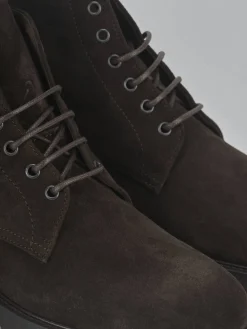 Anfibi camoscio testa