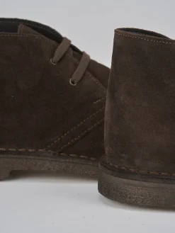 Anfibi camoscio testa