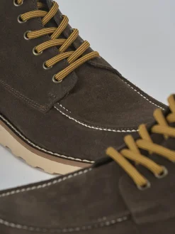 Anfibi camoscio testa