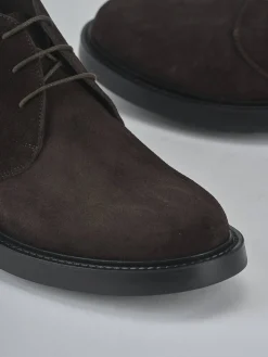 Anfibi camoscio testa