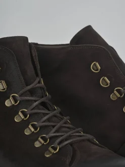 Anfibi camoscio testa