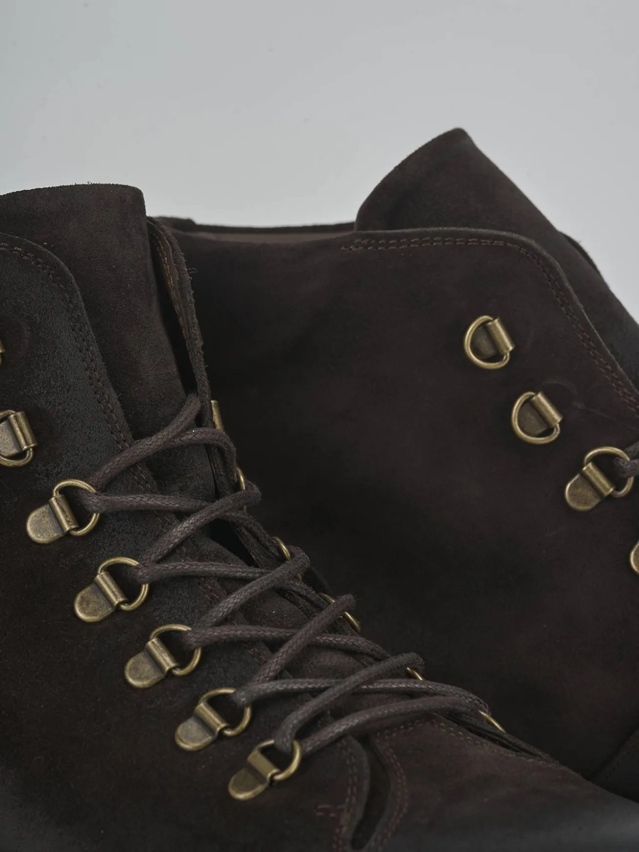 Anfibi camoscio testa