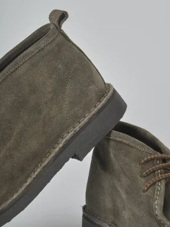 Anfibi camoscio testa