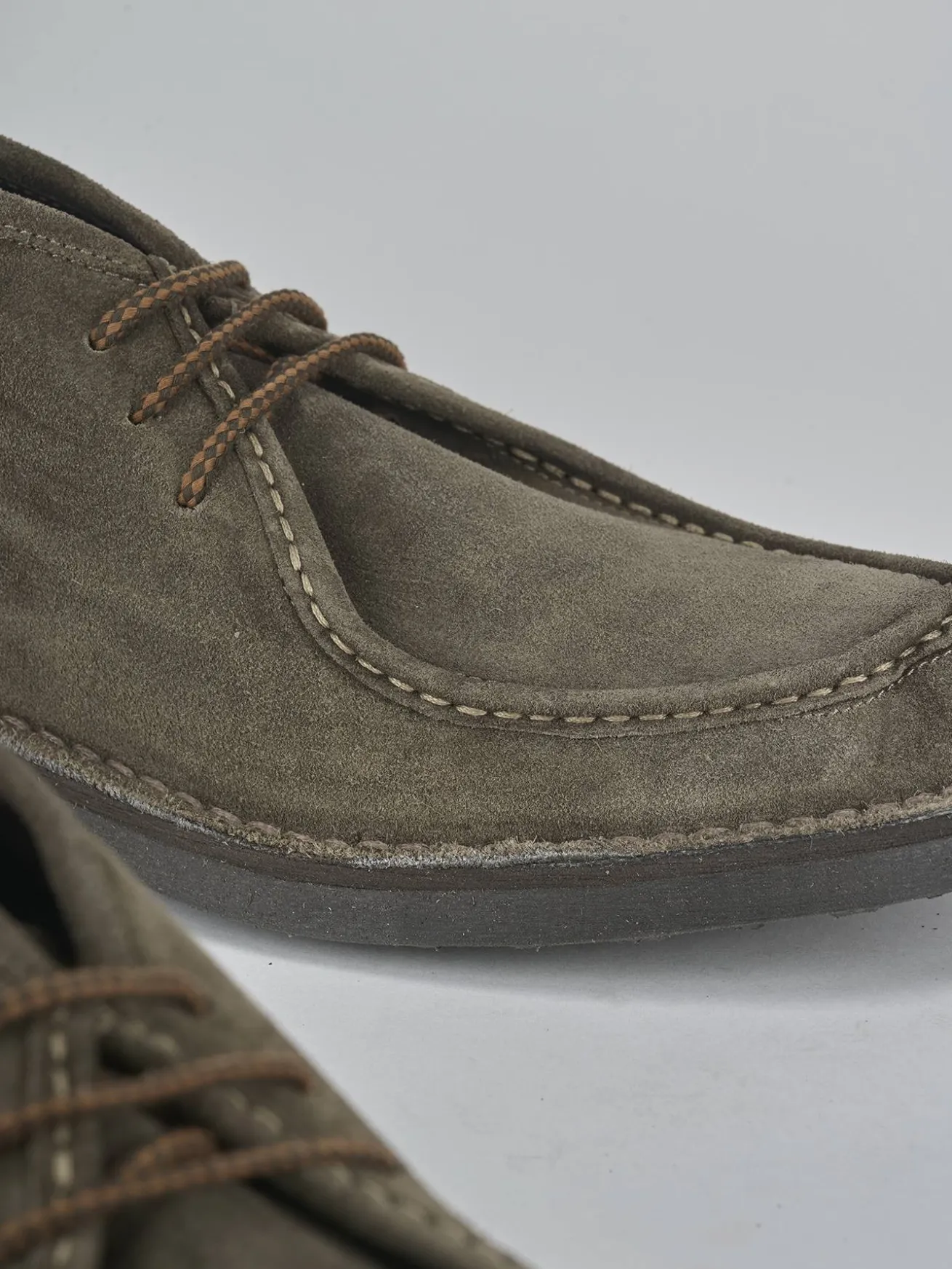 Anfibi camoscio testa