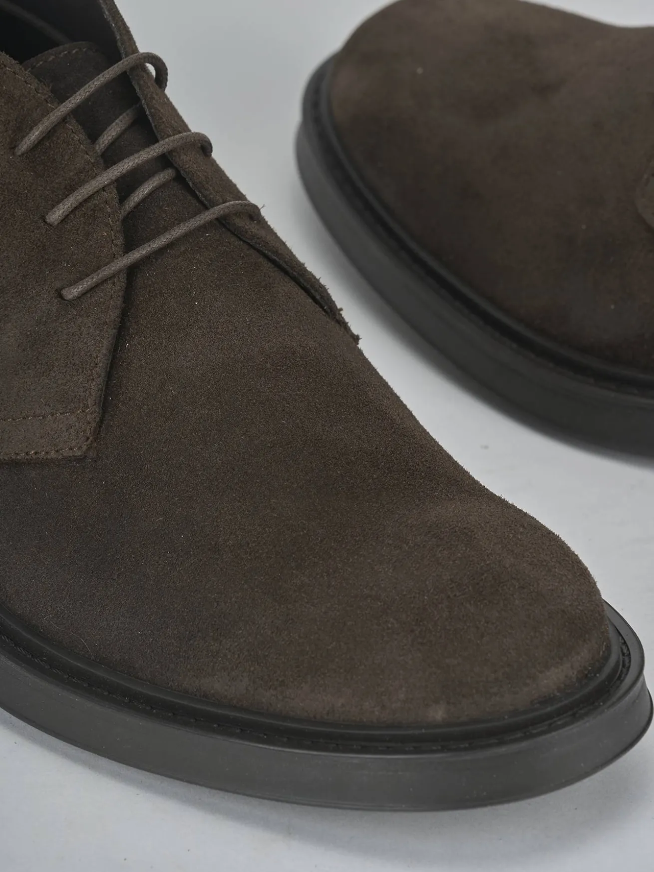 Anfibi camoscio testa