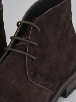 Anfibi camoscio testa