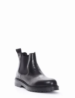 Beatles elastici vitello t20