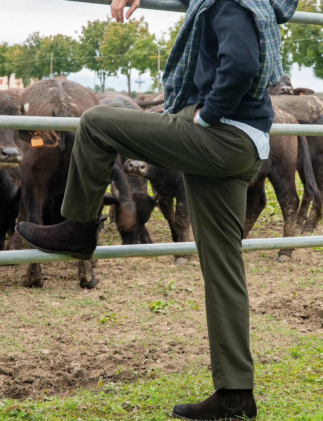 Stivaletti camoscio testa