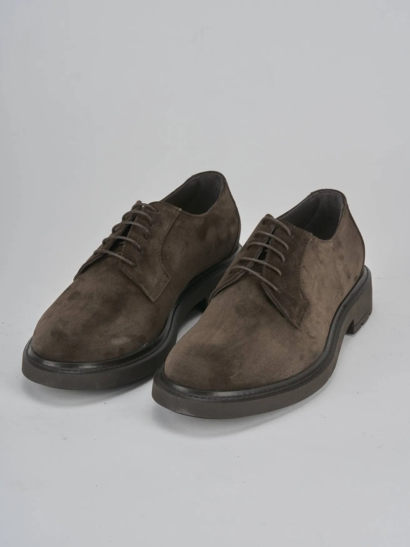 Stringate camoscio testa