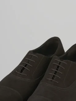 Stringate camoscio testa