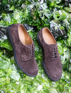 Stringate camoscio testa