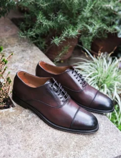 Stringate pelle testa